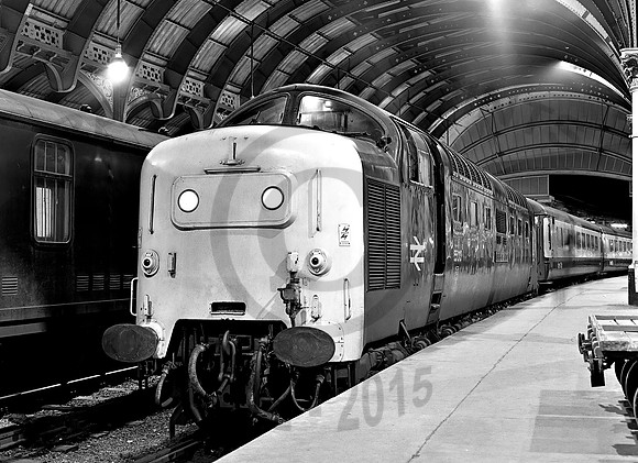55013 York 24 Nov 1981 PF013