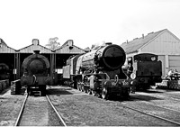 Longmoor Shed 160466 HB66F566