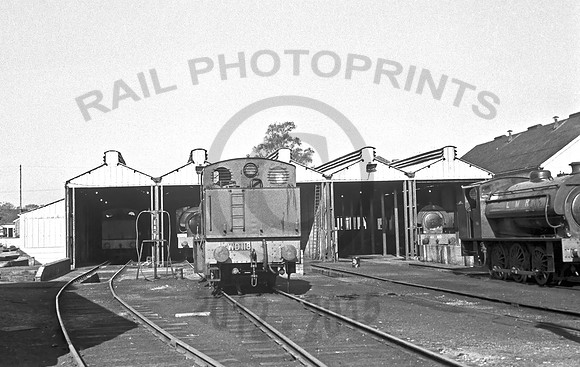 Longmoor Shed, 300466 NS1269_24