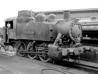 USA300-Longmoor-030955-HB879