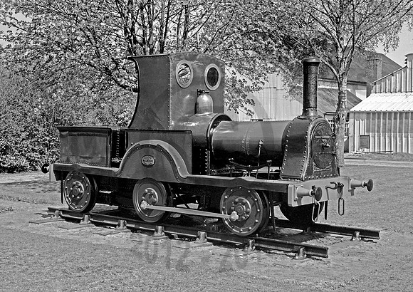 Gazelle Longmoor 0466 HB66F564-1
