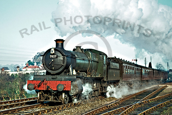 7827 Welshpool 161163 NS2010