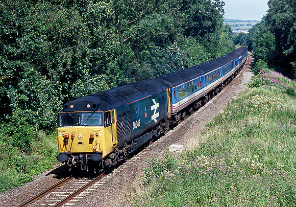 50046 Buckhorn Weston  270791 JC081