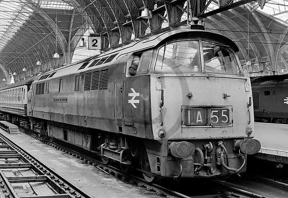 1030-Y-Paddington-010176-RPC184