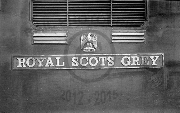55022-Y-Nameplate-250378
