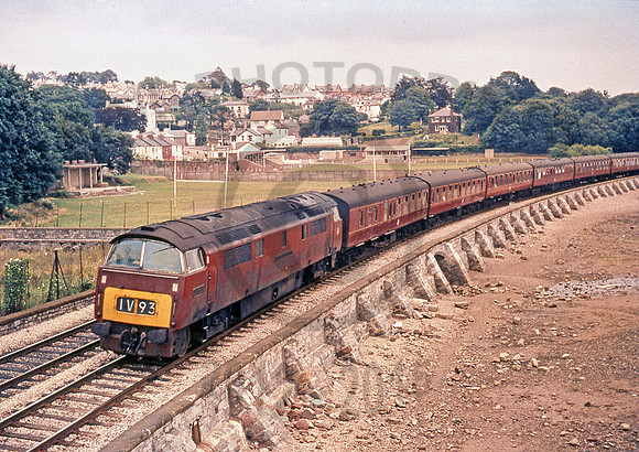 D1009-Y-Shaldon-200865-RL419