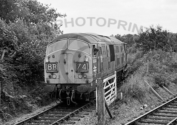 D6334 Dunsbear 270871 JM276