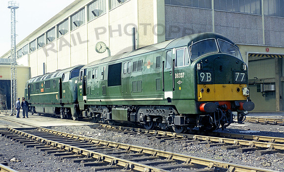 D6337 Laira 290462  DC312