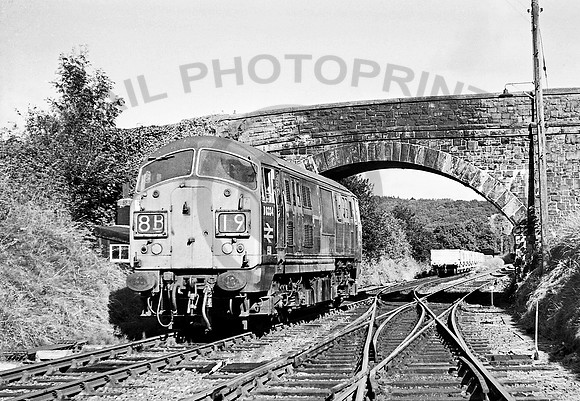 D6334 Torrington  270871 JM288