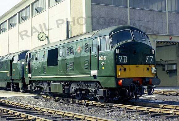 D6337 Laira 290462  DC312L