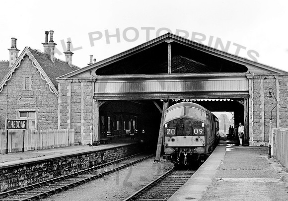 D6352 Cheddar 1270863 HB488