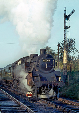80043 Wellow 111065 HB043