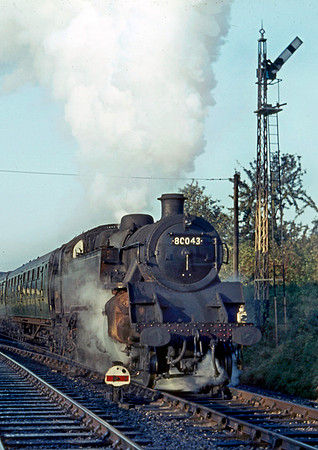 80043 Wellow 111065 HB043