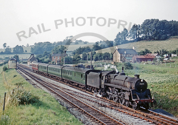 75071 Wellow 220761 DCC186