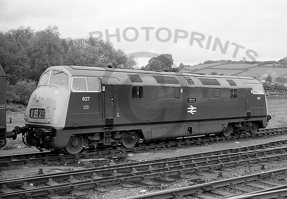 827-Y-Exeter-310571-DM353