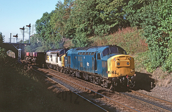 37131 Wellington 1989 BR040