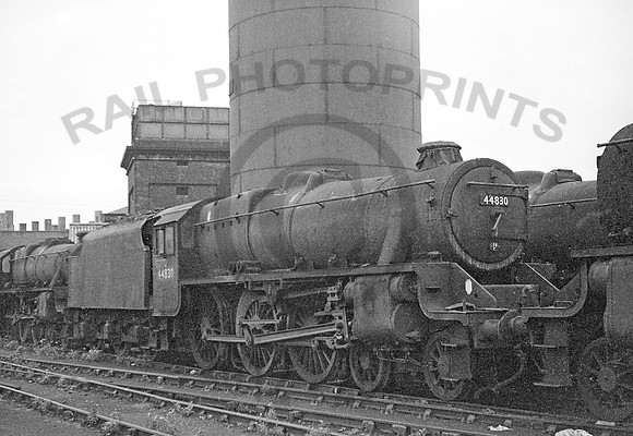 44830-Toton-110965-RP024a