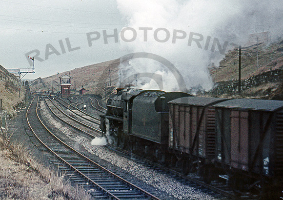 44792-Shap-250367-DR465