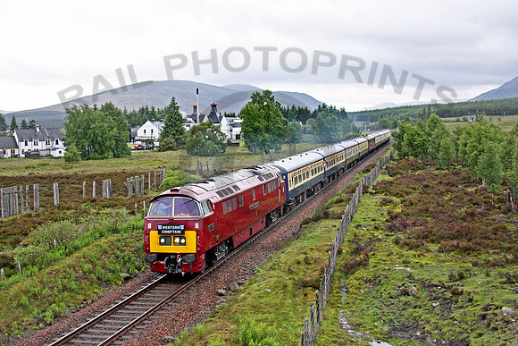 D1015-Dalwhinnie-190609-JC9665