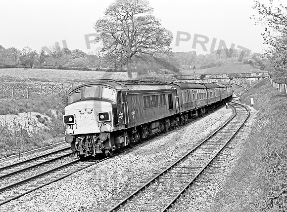 45047- Whiteball-200578-JC1