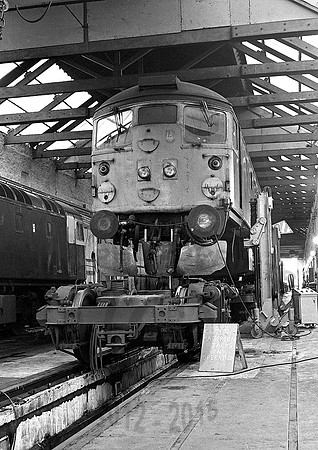 26041-InvernessShed-260681-JC481