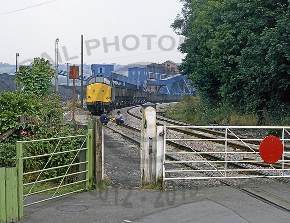 37162-Oakdale-250883-JC690