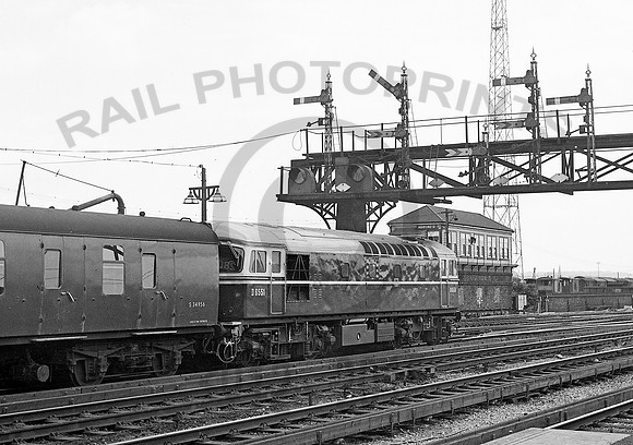 D6551-Y-Ashford-0561-RPC631