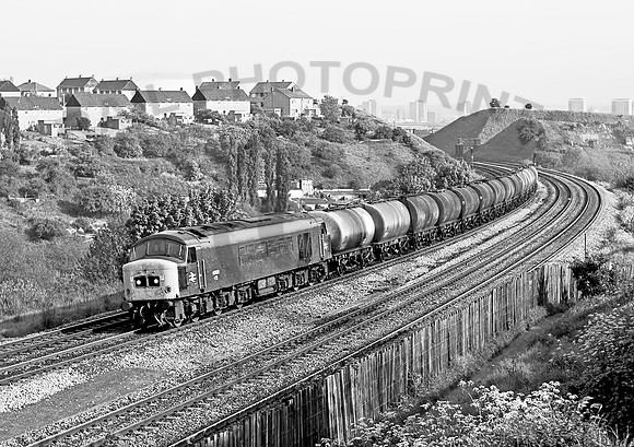 45031-AshleyDown-250578-JC1