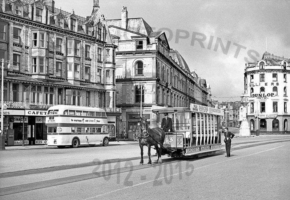 IOM-Douglas-Horse-tram-0657