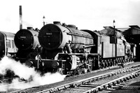90088-90411 Langwith 0963 KL411R