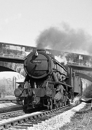 90682-Y-Derby-0463-RPC109