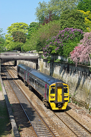 158869 Sydney Gardens 050507 JC6