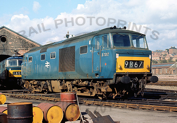 D7007-Y-Worcester-0469-RPCMJ528