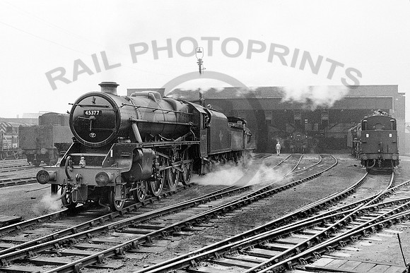 Warrington Dallam - 021060 HB175