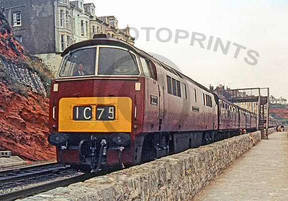 D1067-Dawlish-0766-RL222-1