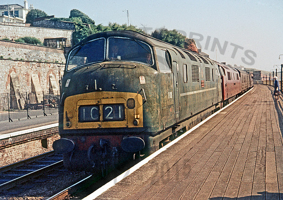 D819-D1020-Y-Dawlish-210766-RL199-1