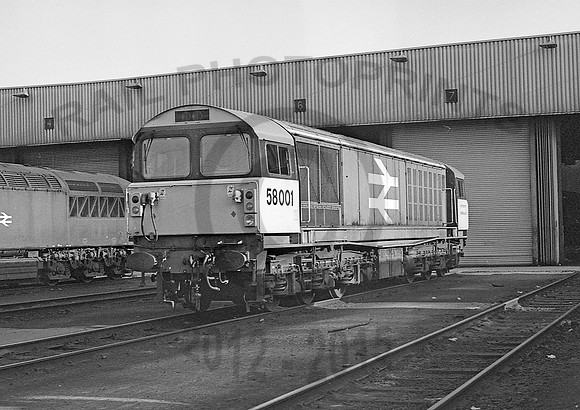 58001-Y-Toton-110884-JC595