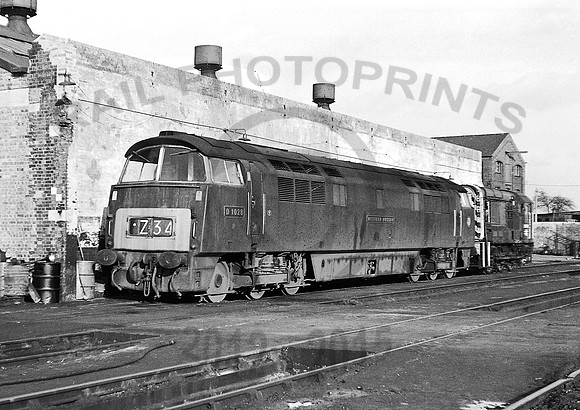 D1028-Y-Gloucester-1268-PB516