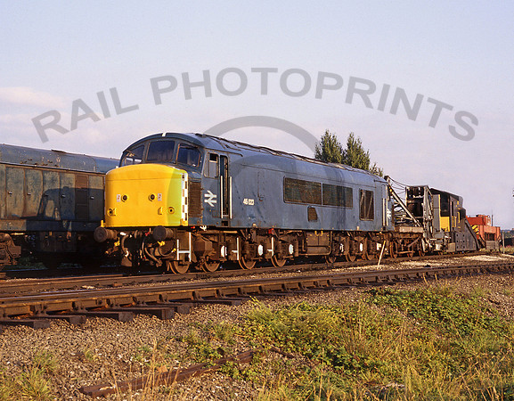 46023-Toton-120884-JC834