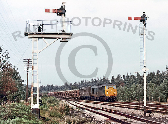 31418 Brandon 310882 GE418