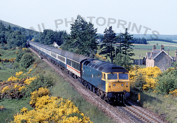 47533-Y-Culloden-270686-JC854