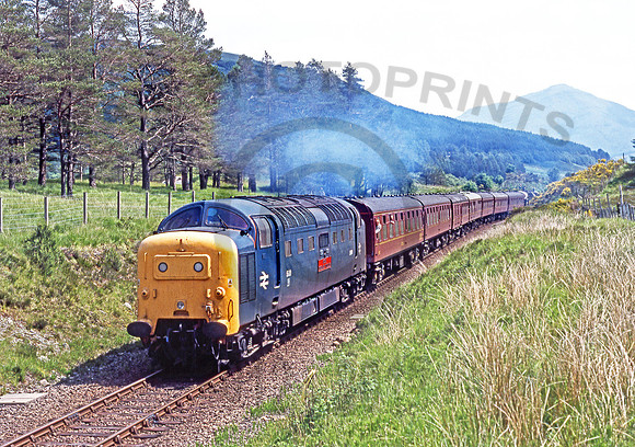 55019-Clifton-250603-JC359
