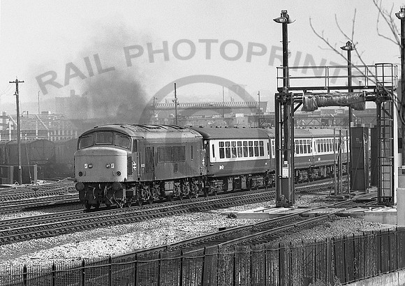 46009-Bedminster-120480-RP159