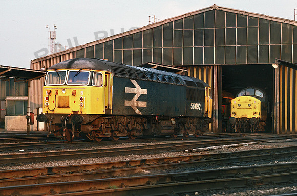 56092 Tinsley 260486 BR030