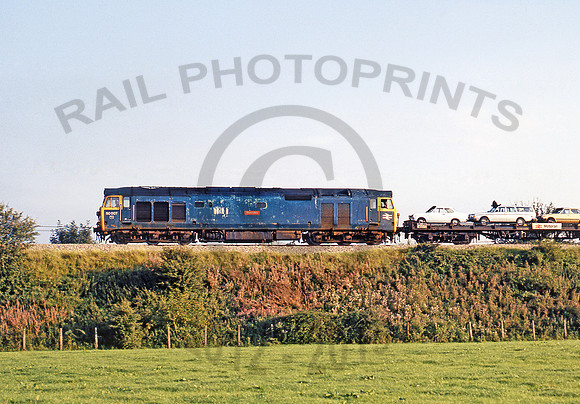 50007-Y-Berkley-290881-JC836