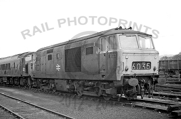 7022-Y-Westbury-060371-RP