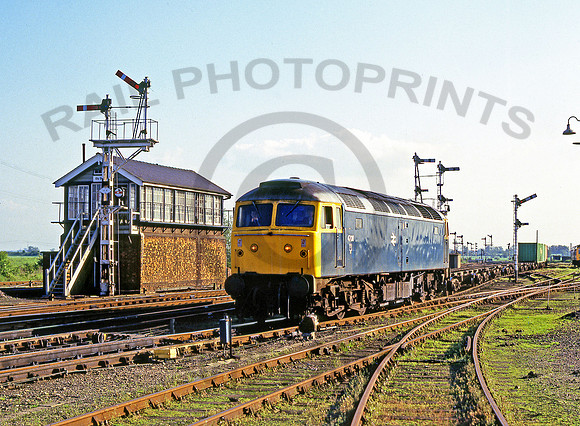 47011-Ely-280585-JC1