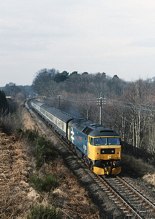 47550-Y-Brodie-130386-JC508