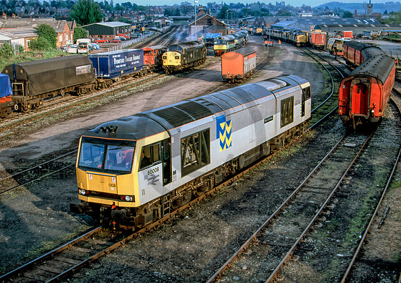 60008 Hereford 1994 HB262