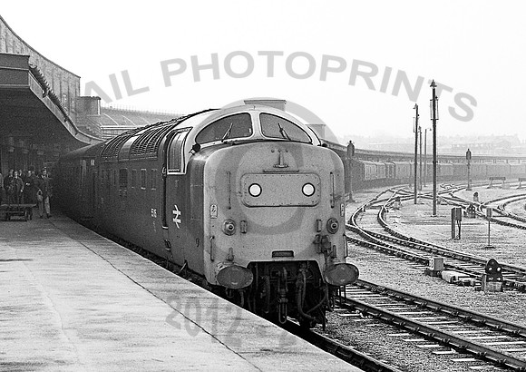 55015-Y-York-260180-JC739